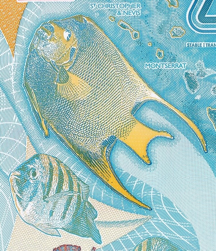 East Caribbean P-61 2 dollars 2023｜Polymer｜Cricket｜Marine Life｜Banknote of the Year