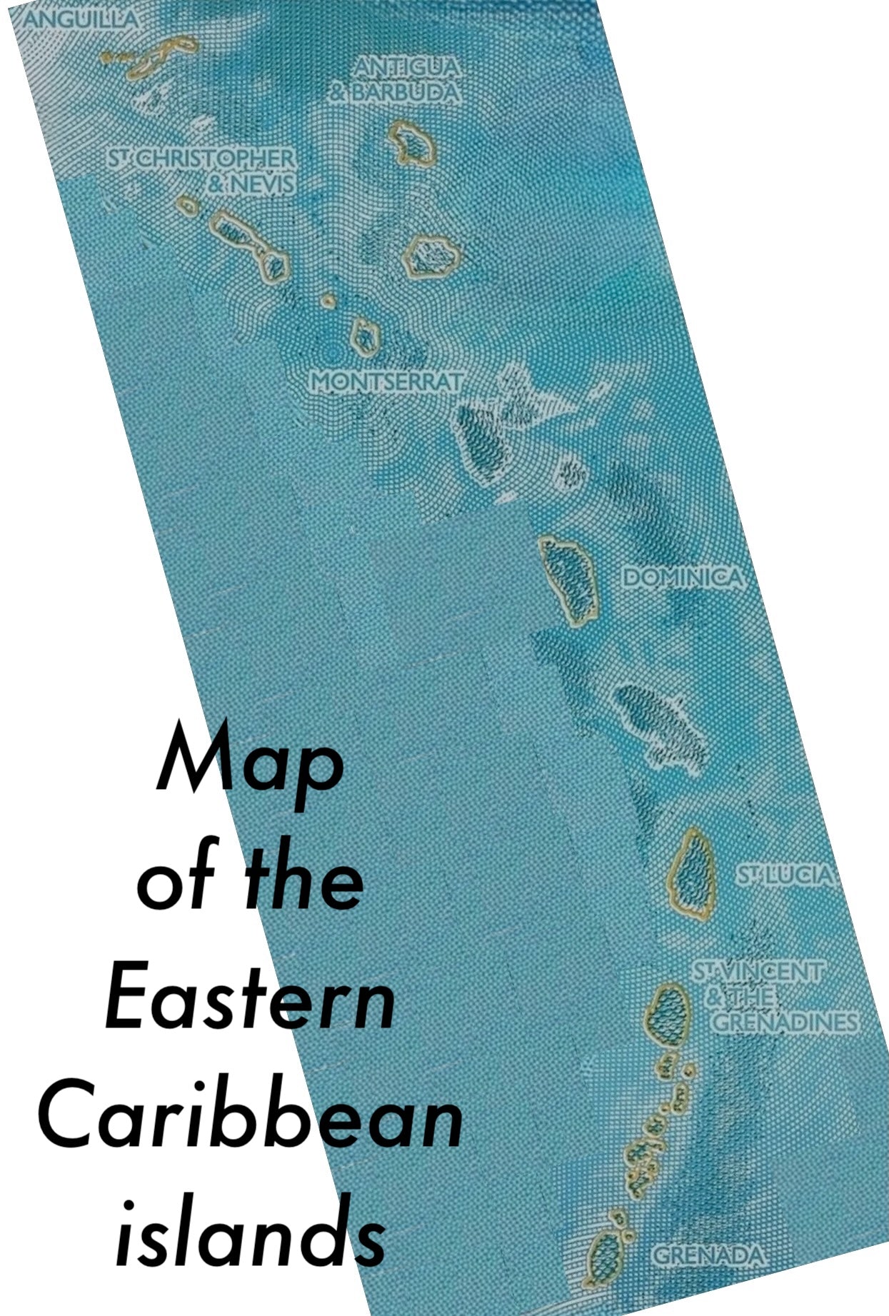 East Caribbean P-61 2 dollars 2023｜Polymer｜Cricket｜Marine Life｜Banknote of the Year