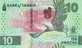 Zambia P-62 10 Kwacha 2024 UNC—Kariba Dam—Pangolin—Fish Eagle