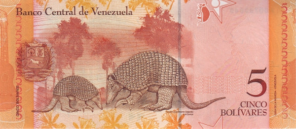 | 100 pcs lot bundle strap UNC—100x Venezuela P-89 5 Bolivares Fuertes 2013 UNC