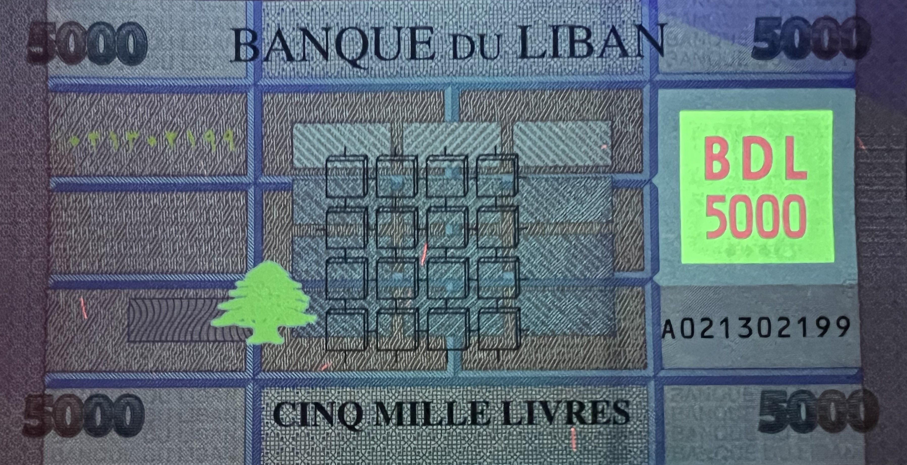 Lebanon P-91 5000 Pounds/Lira 2012-2022 UNC| pink | butterfly