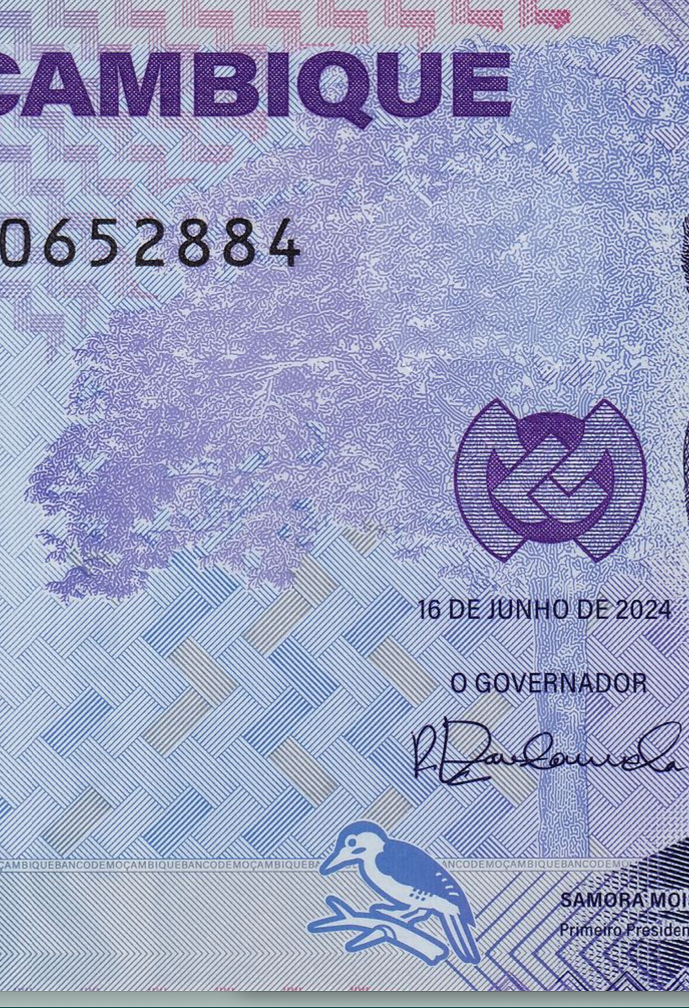 Mozambique P155 POLYMER 20 Meticais 2024 UNC—Duck Feather Gold & Nurse-Guerrilla