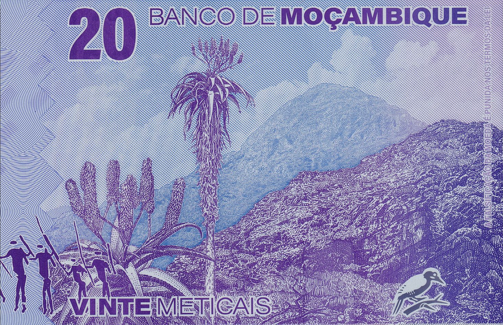 Mozambique P155 POLYMER 20 Meticais 2024 UNC—Duck Feather Gold & Nurse-Guerrilla