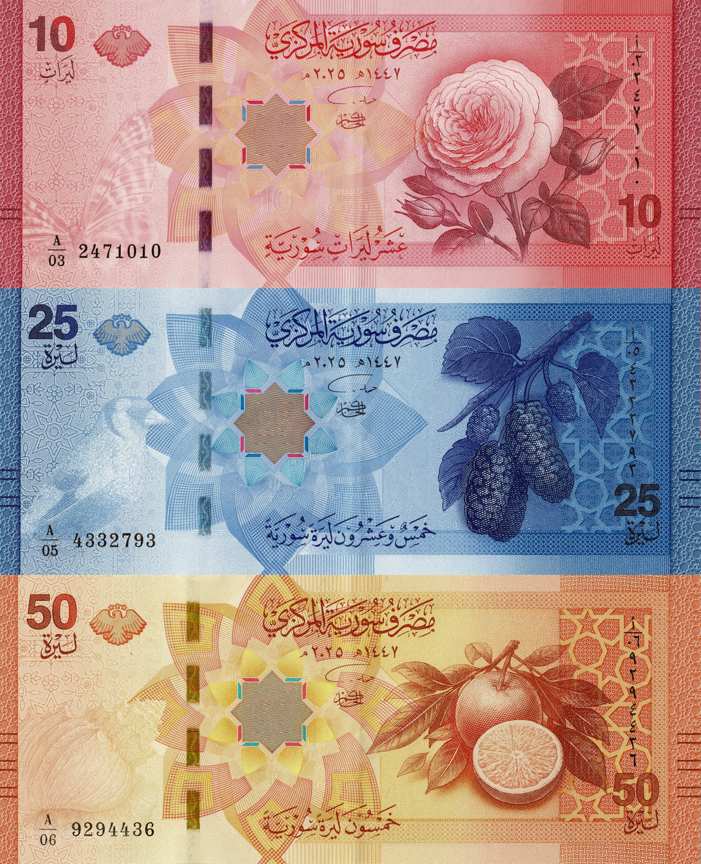 Middle East NW SET NEW RELEASE 2026 (2025) P119 120 121 10 25 50 pounds UNC