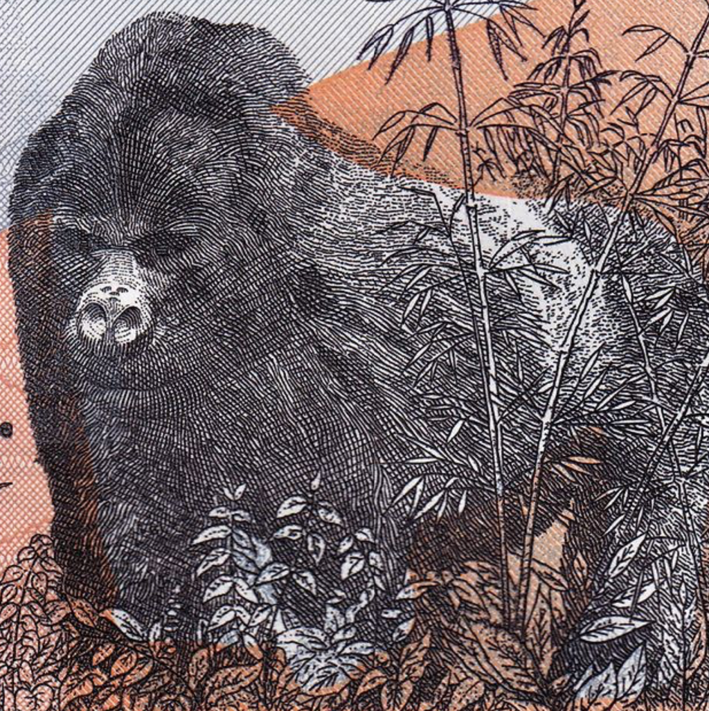 Rwanda P-41 5000 Francs 2014 UNC—Mountain Gorillas—Volcanoes National Park
