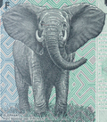 Congo P-98/98A 100 Francs 2007-2022 UNC Elephant