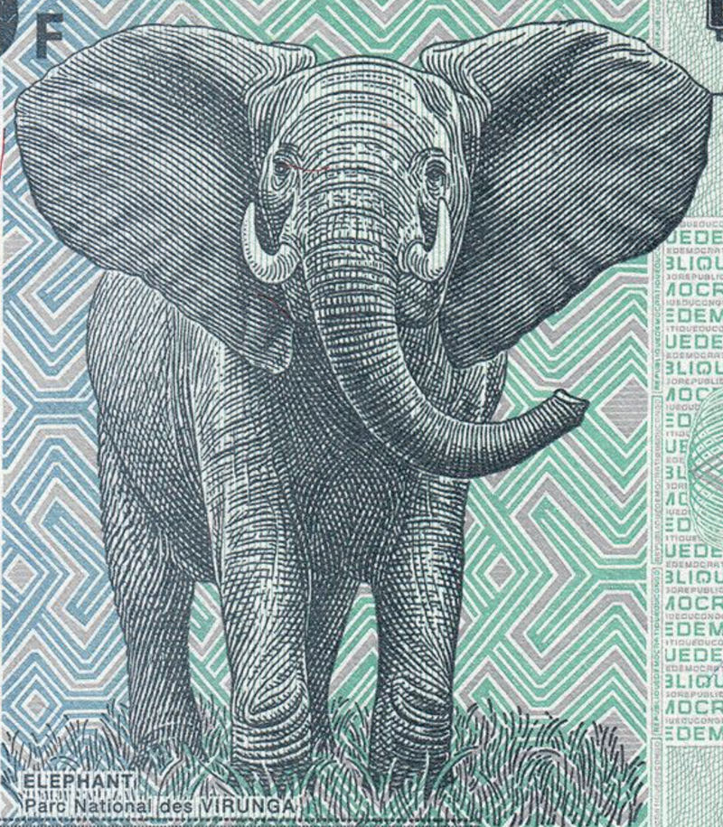 Congo P-98/98A 100 Francs 2007-2022 UNC Elephant