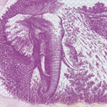 Zimbabwe P-52 750000 Dollars 2007 VF Elephant—Bearer Cheque—Purple