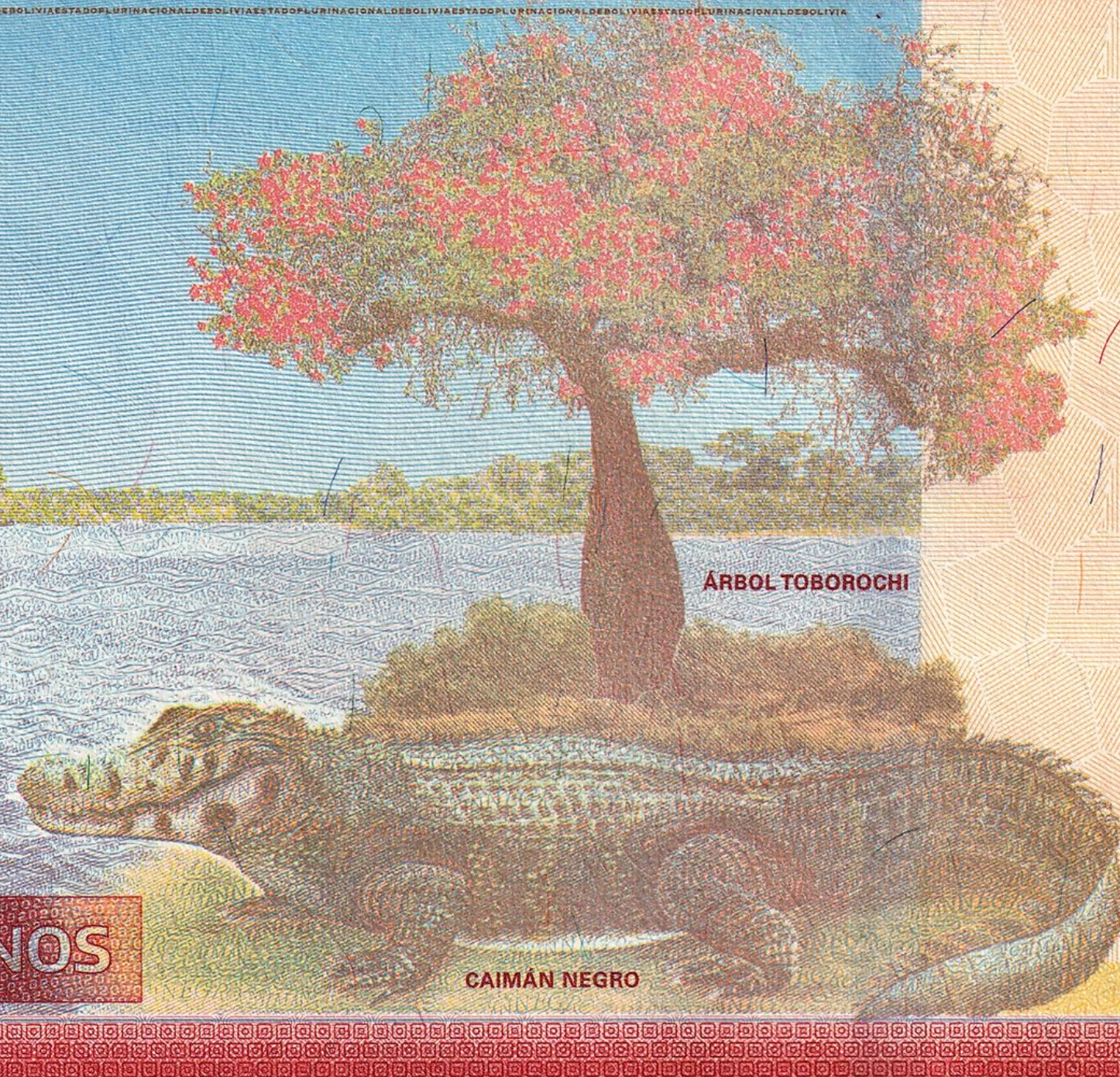Bolivia P249(1) B418a 20 Bolivianos 2019-25 UNC—Cayman—Alligator Family—60021