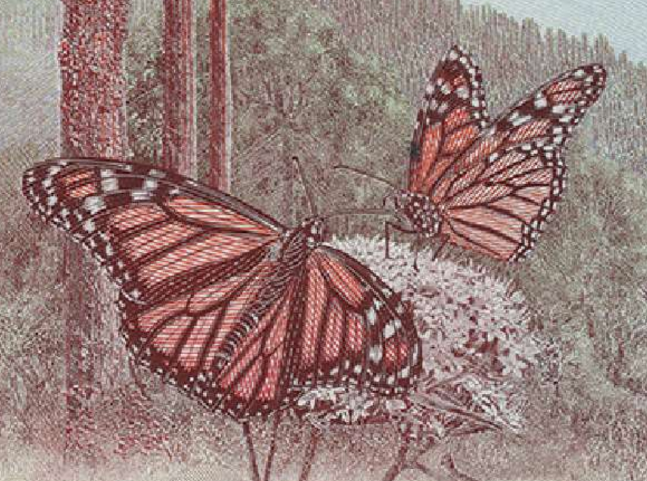 Mexico P139—2025 Commemorative of P134—100 Pesos 2024.06.27 UNC B724 W139 JEHC/IMP Butterflies