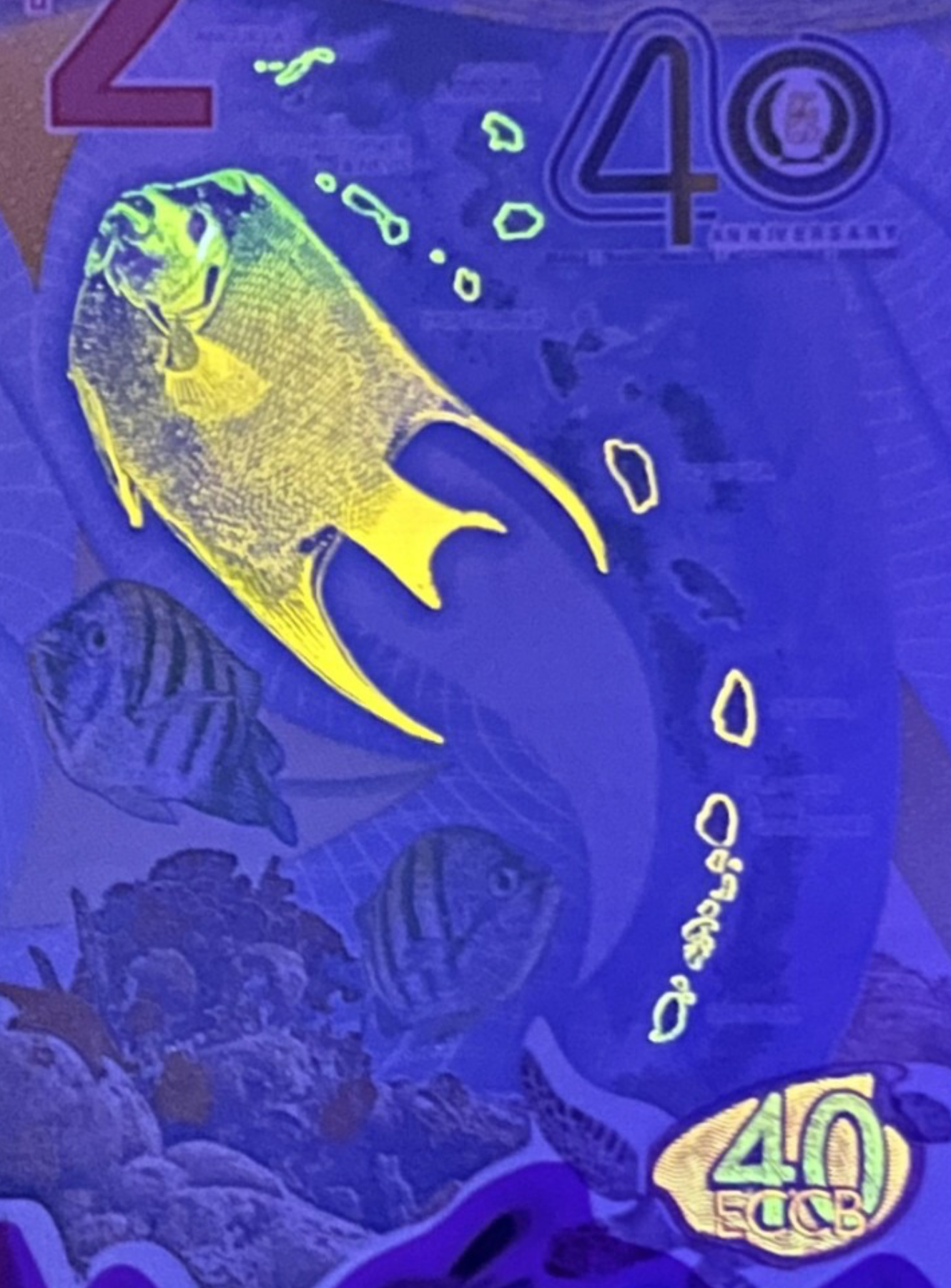 East Caribbean P-61 2 dollars 2023｜Polymer｜Cricket｜Marine Life｜Banknote of the Year